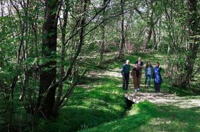 Guided Tours