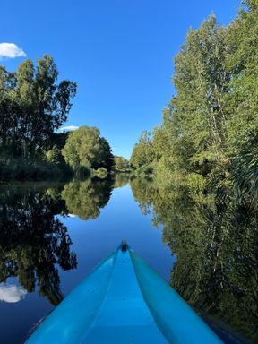 Insight into your horoscope