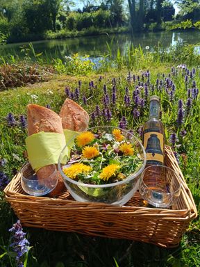 Cestino da picnic in riva al fiume