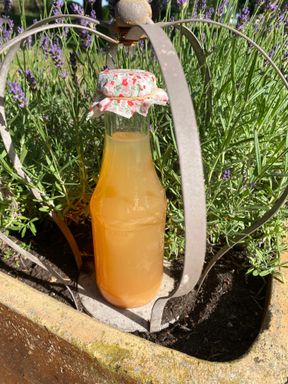 Bio-Apfelsaft 0,5l