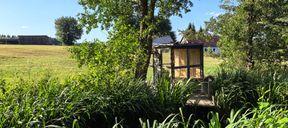 Le sauna de la serre aux palmiers, près de l'ancien étang à poissons