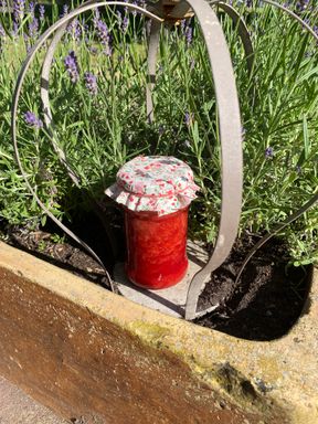 Bio-Erdbeermarmelade 300g