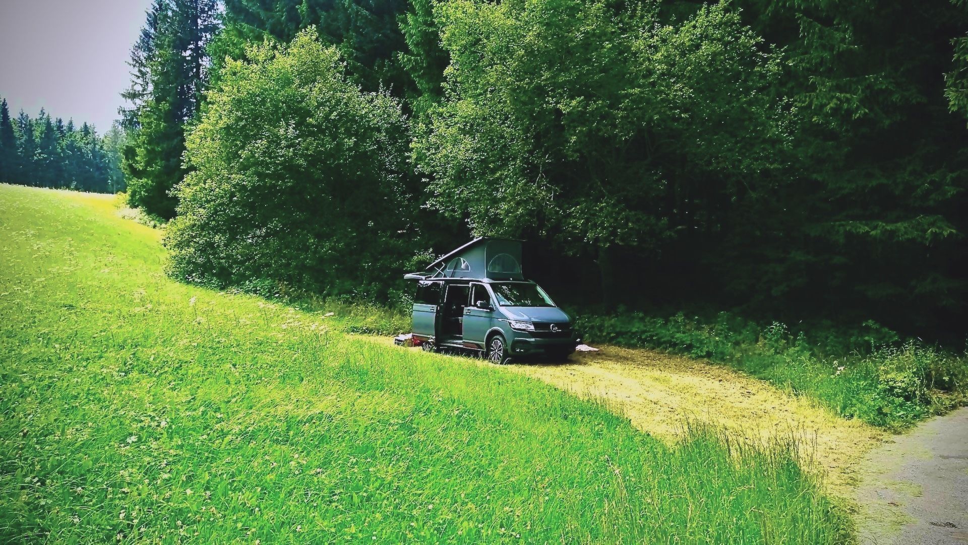 Camper steht am Waldrand auf einer grünen Wiese im Münstertal auf einem Stellplatz, den man zum Camping über hinterland.camp buchen kann.