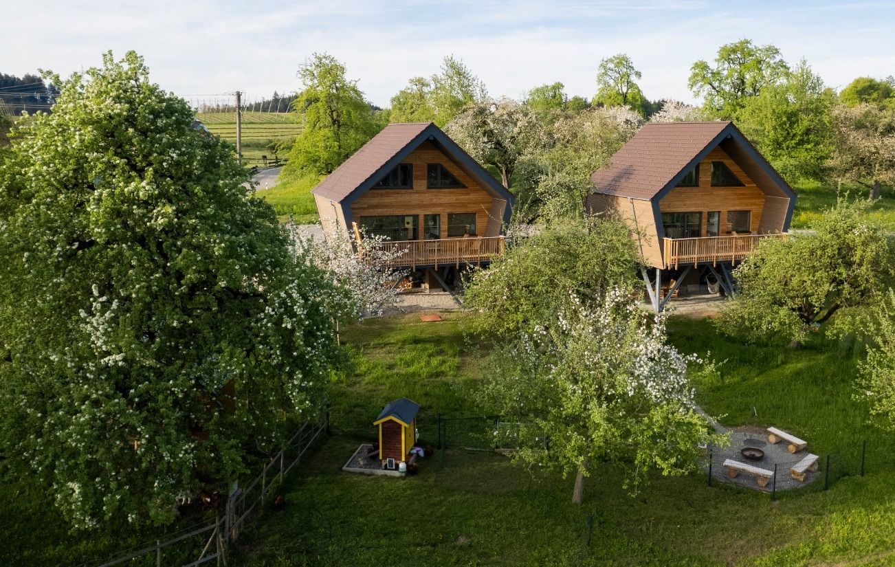 Man sieht zwei Baumhäuser nebeneinander inmitten der Bäume, buchbar bei hinterland.camp