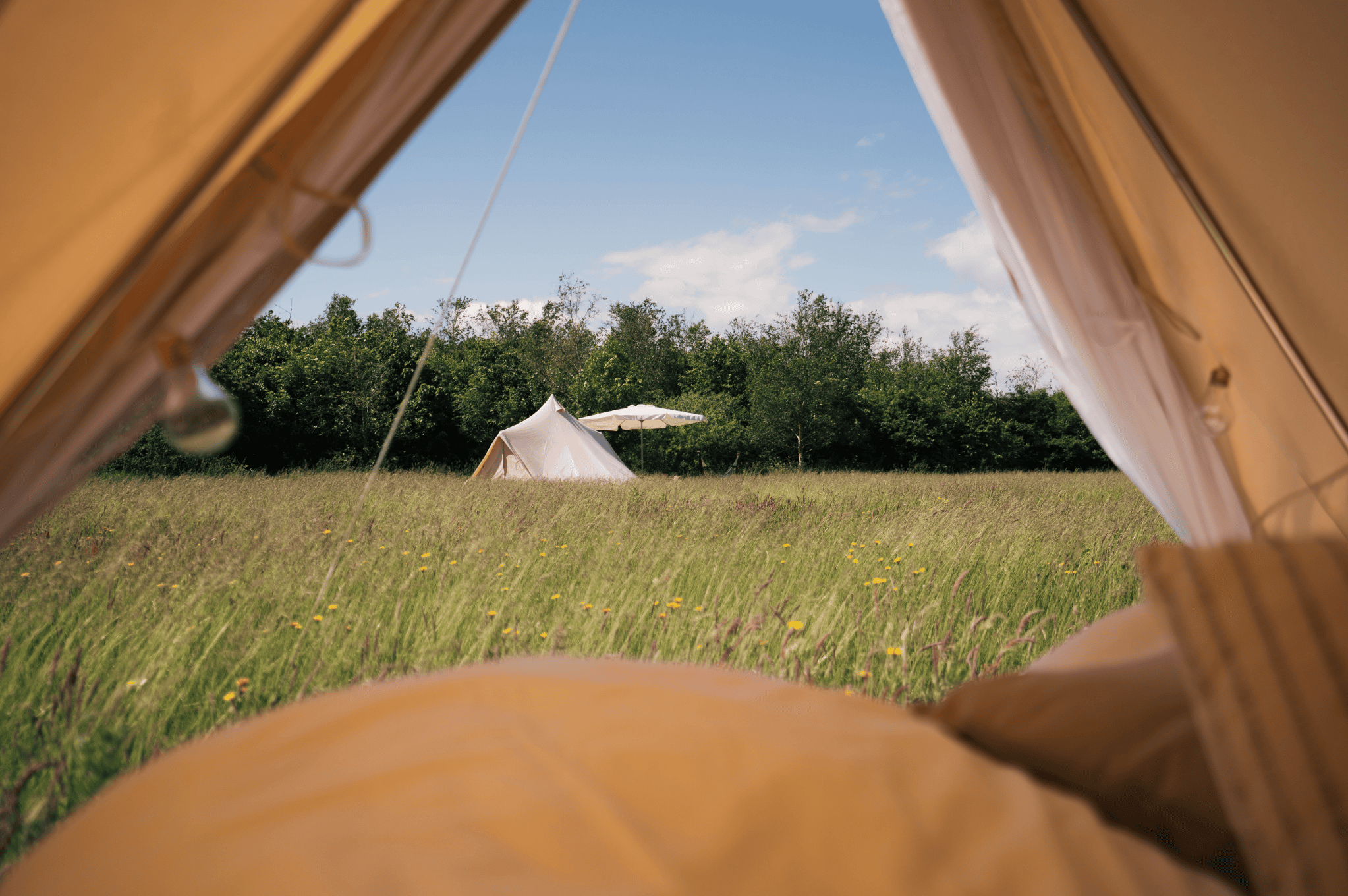 Glampingzelt auf einer Wiese in Dänemark.