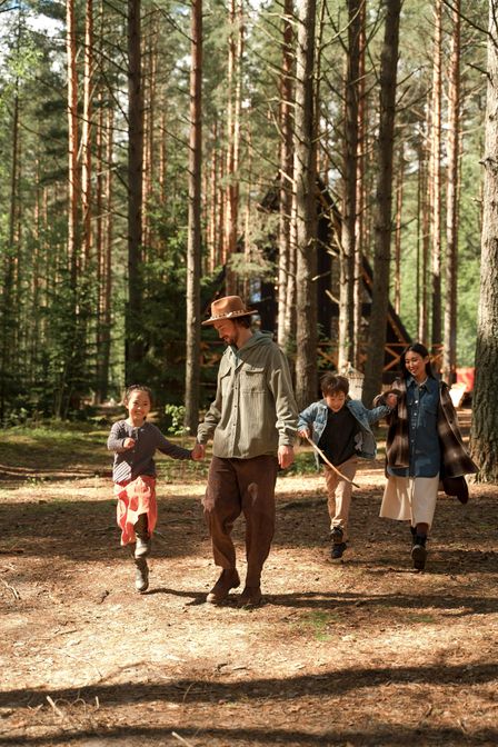 Avventure offline nella foresta incantata