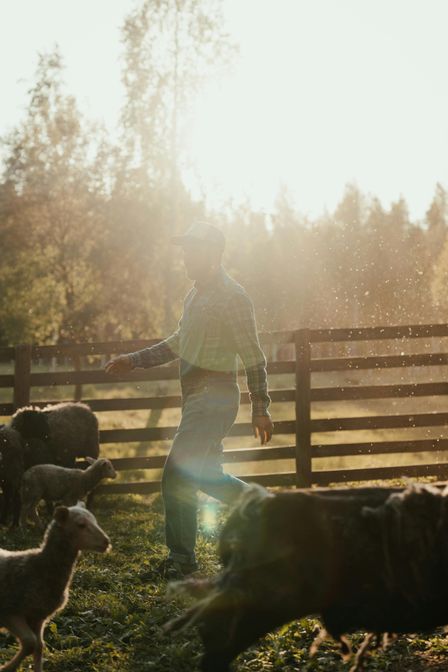 Visite guidée d'une ferme biologique