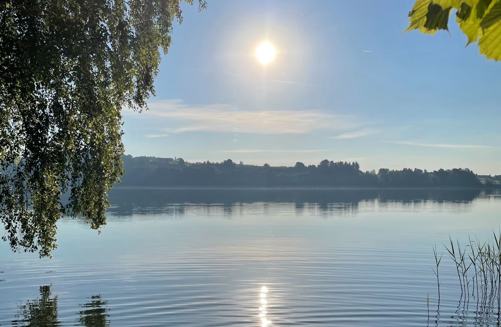 Blick über das Wasser des Waginger See von einem Mini-Campingplatz aus, den man über hinterland.camp buchen kann