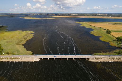 Camper fährt über eine Brücke, die über die Ostsee führt in Mecklenburg Burg Vorpommern, die Szenerie ist umgeben von dem Meer, grünen und goldenen Wiesen und Bäumen eines Waldes