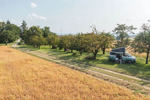 Camping mit einem VW-Camper von hinterland.camp in Baden-Württemberg neben einem goldenen Feld bei einer Apfelplantage in Alleinlage