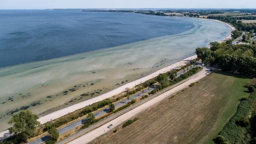 Aufnahme einer Straße, die entlang des Meeres der Ostsee führt und umgeben von Wiesen und Bäumen, Wald ist