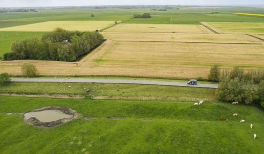 VW-Camper fährt auf einer Allee zu einem Stellplatz im Münsterland