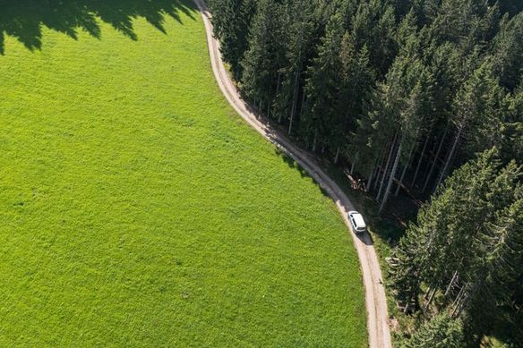 Camper fährt über eine Straße im Harz, die von einem Nadelwald auf der einen und einer grünen Wiese auf der anderen Seite umgeben ist
