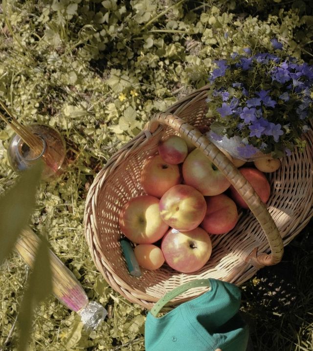 Regionale Obstkiste