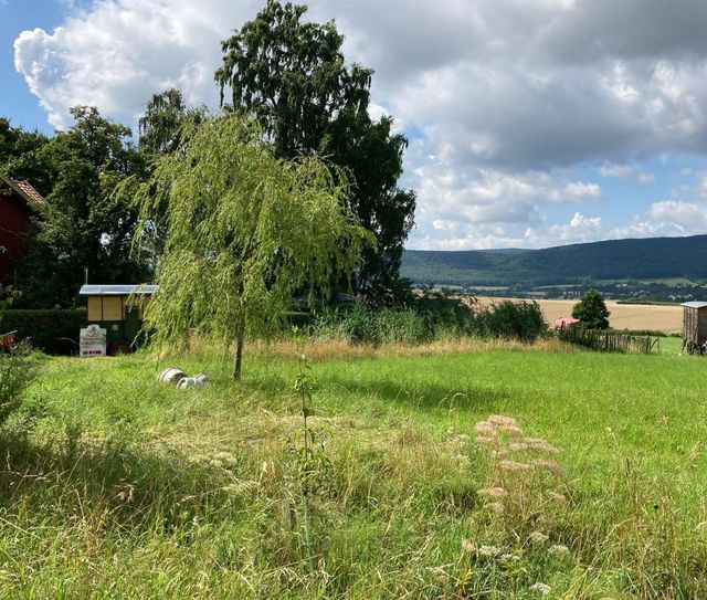 Camping with a view of the Ith on the slope of the Osterwald forest