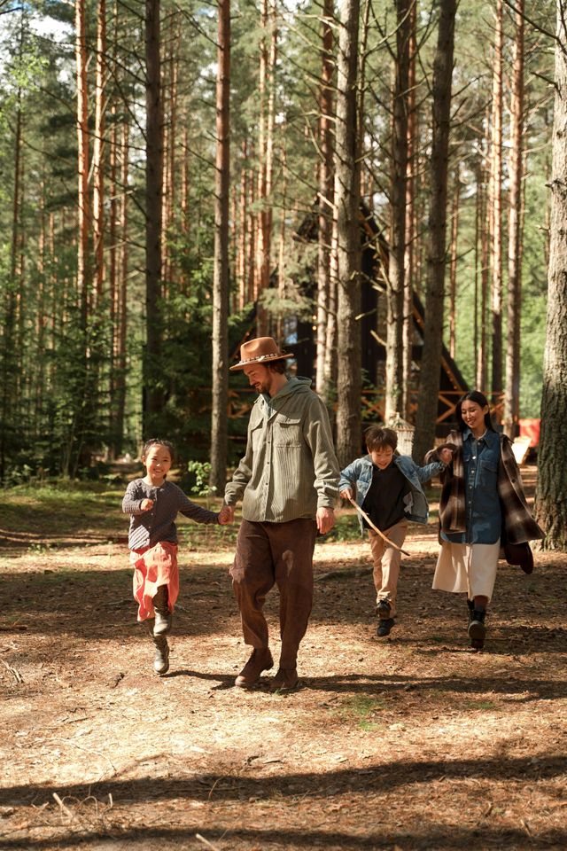 Offline Abenteuer im Zauberwald 