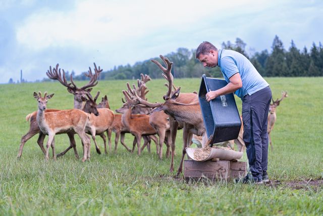 Führung am Wildgehege