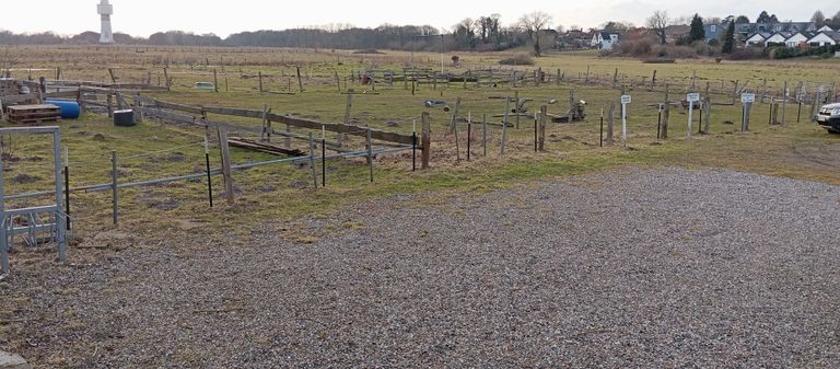 Euer Blick auf die wunderschöne Natur und Haffwiesen