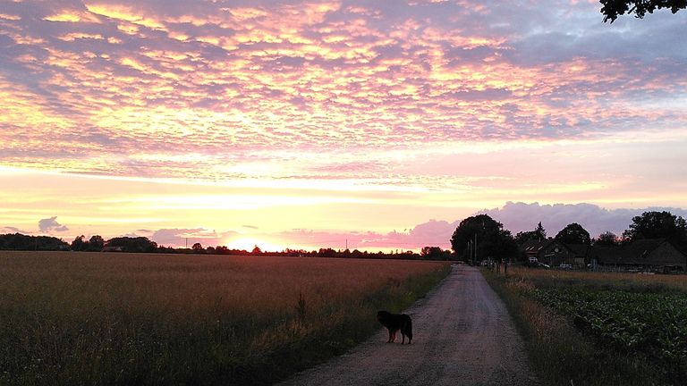 Der Platz liegt am Ende einer Sackgasse auf einer Waldinsel, umgeben von einem riesigen Feld.