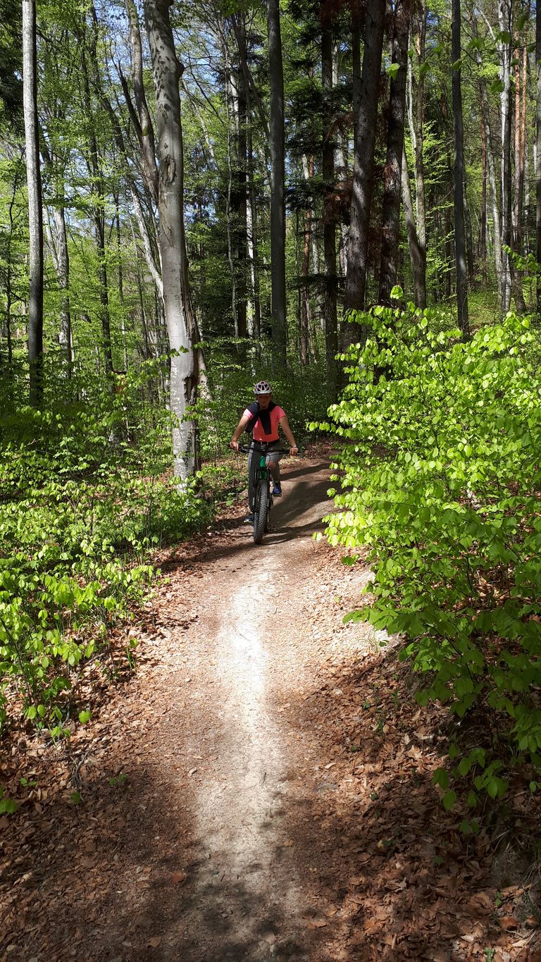 Geführte Biketour am Gehrenberg