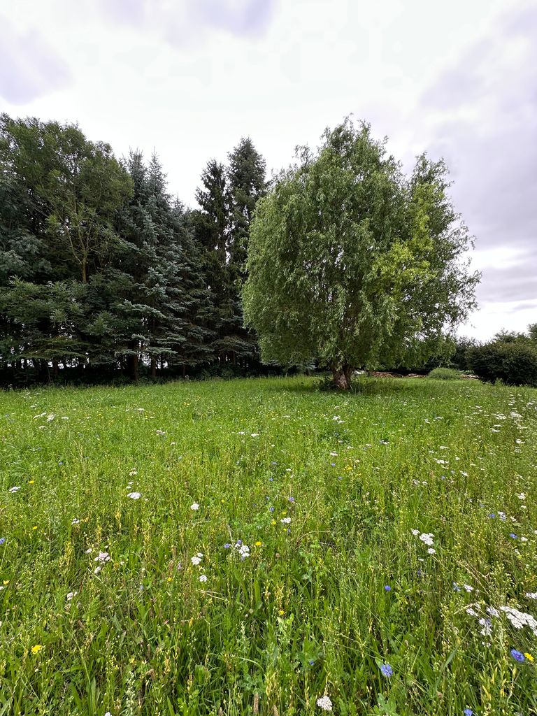 Stellplatz WIESE