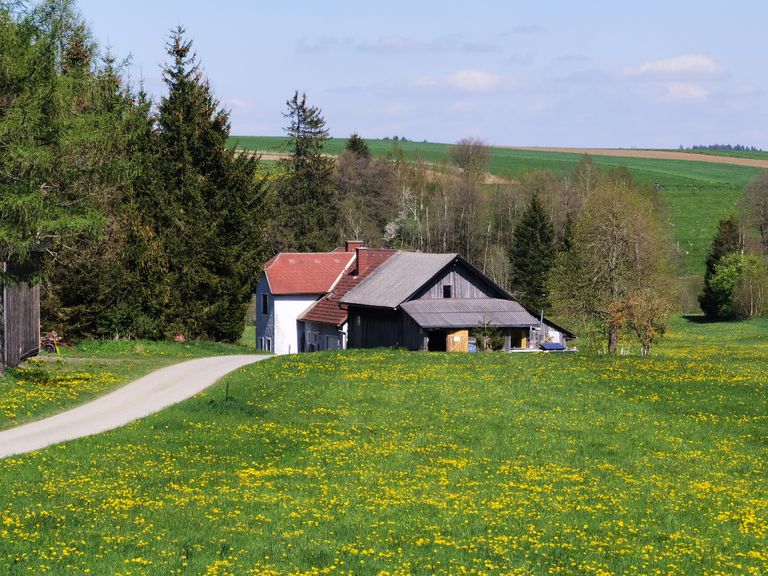 Maison de campagne dans les alpages