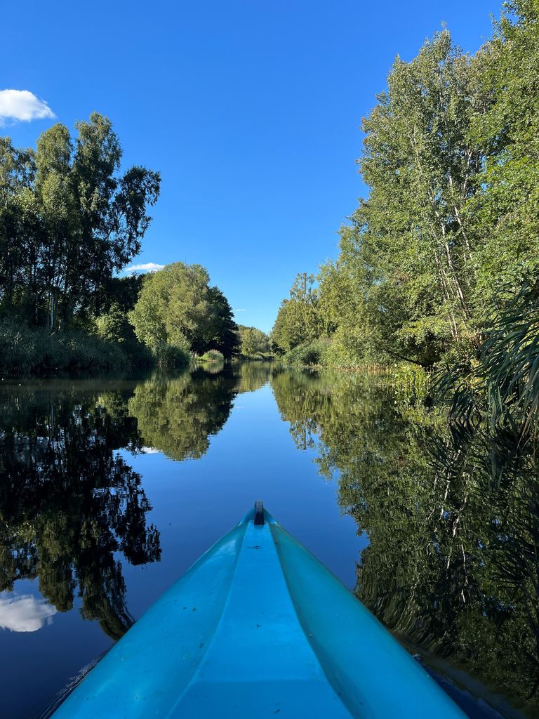 Einblick in dein Horoskop