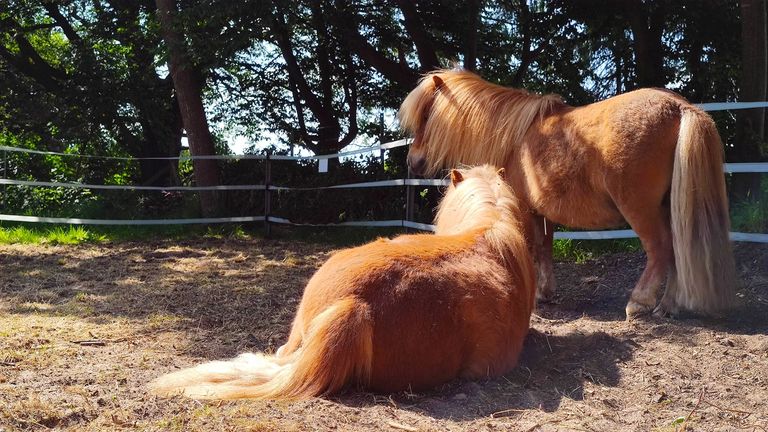 Geführte Wanderungen