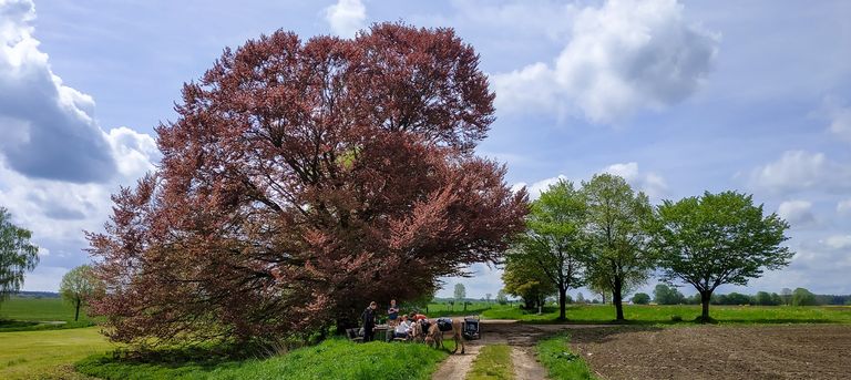 Grande escursione con gli asini