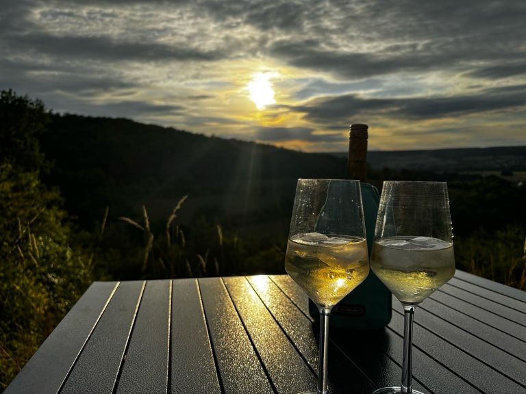 Van Life Wine Tasting