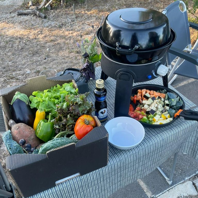 Cesta de alimentos ecológicos frescos