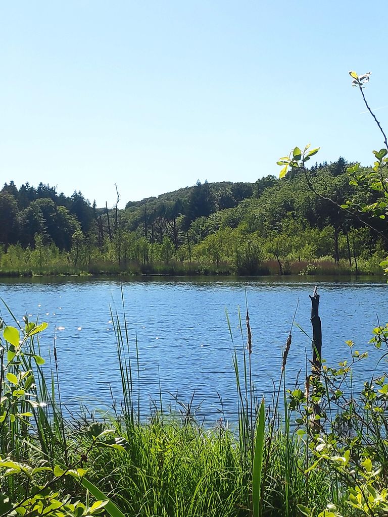 Le lac Noir, une destination d'excursion
