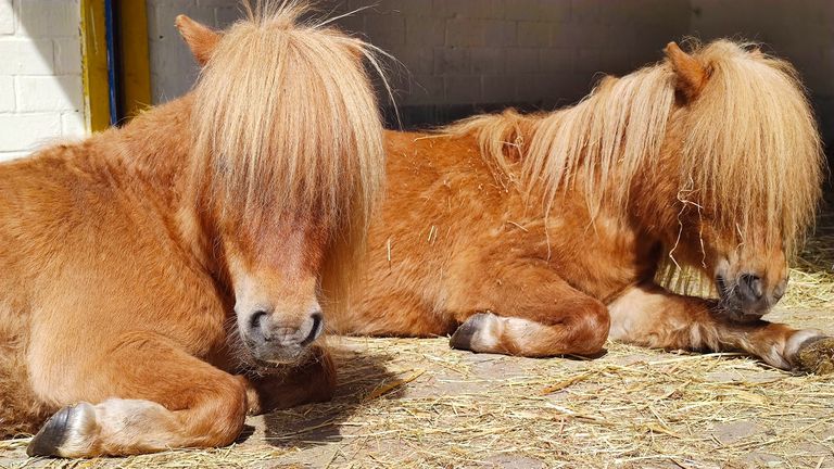 Geführte Wanderungen