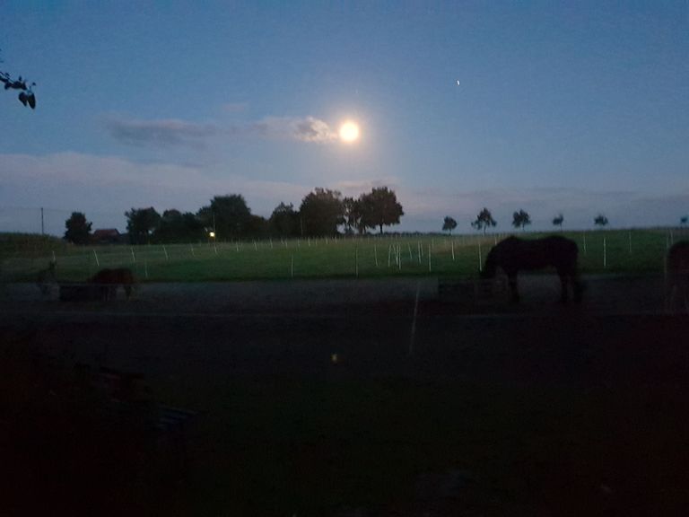 Vue depuis l'emplacement