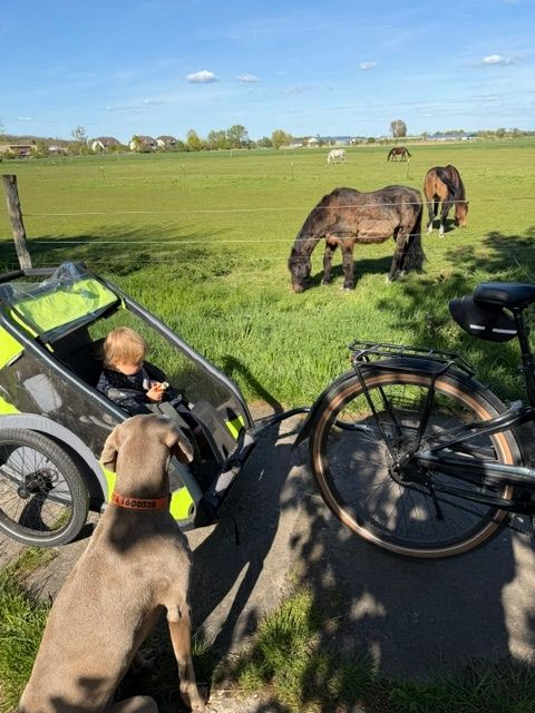 Ab ins Grüne