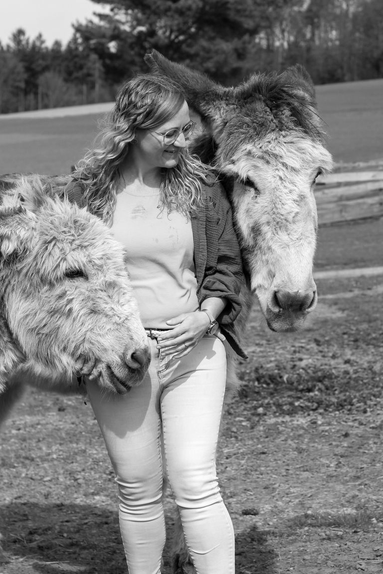 Incontro con un asino