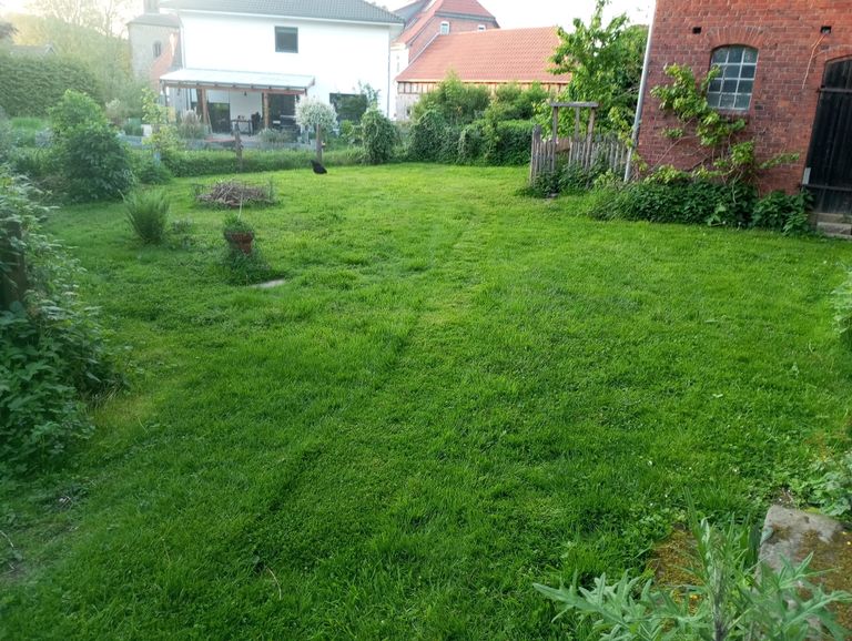 Hinterster Stellplatz