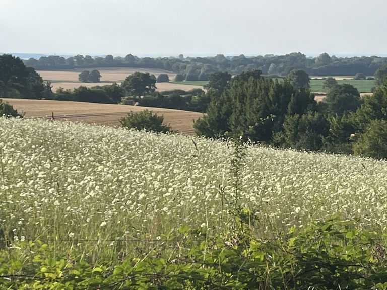 Blick auf die Hohwachter Bucht