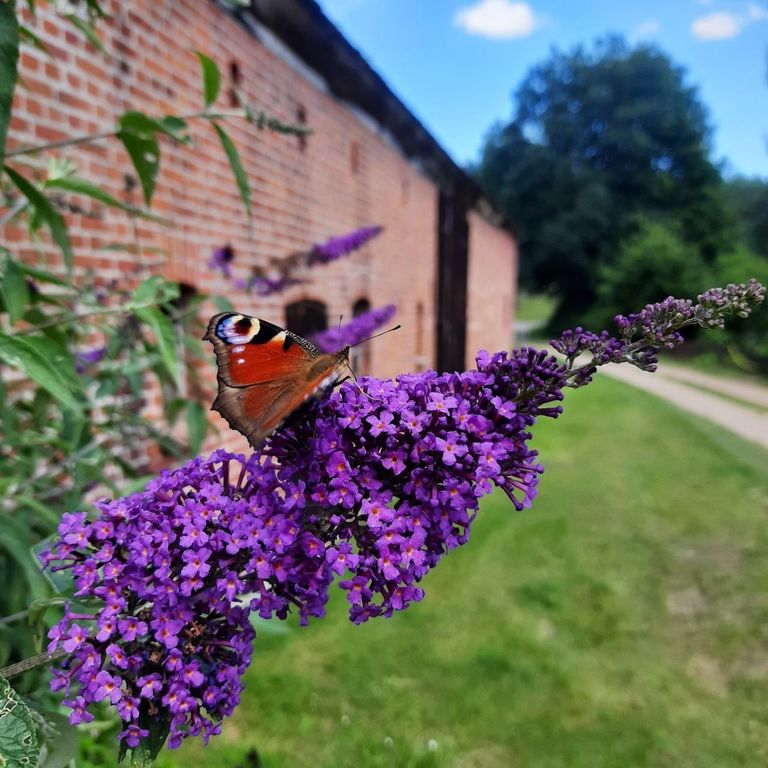 Sguardo lungo la strada