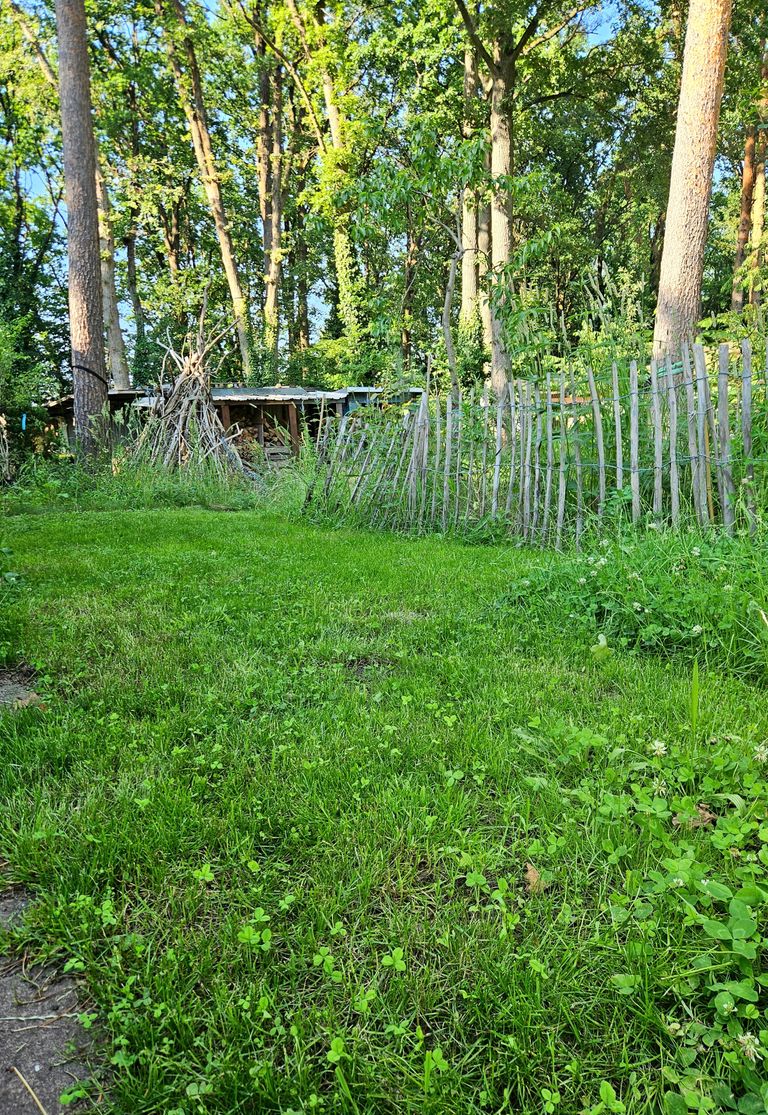 Zona de acampada