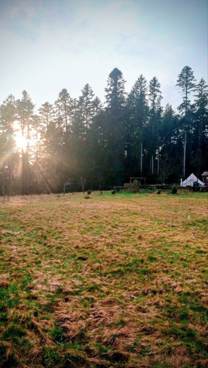 Aussicht auf unser Zelt