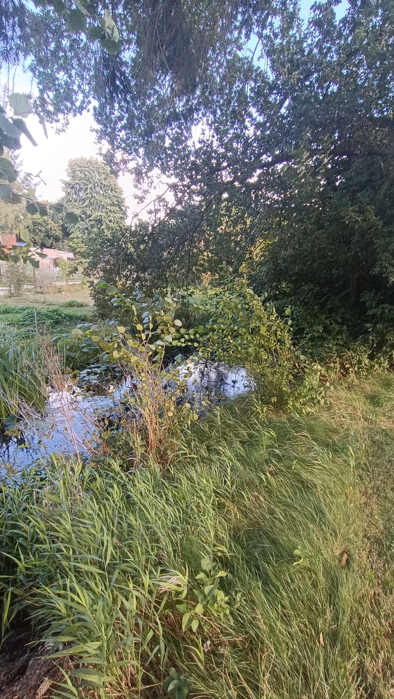Dieser Bach begrenzt das Grundstück