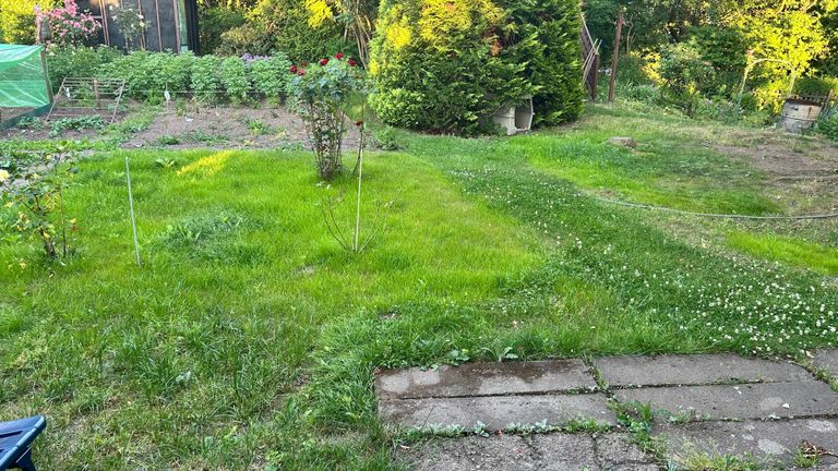 Obere Wiese 10x10m