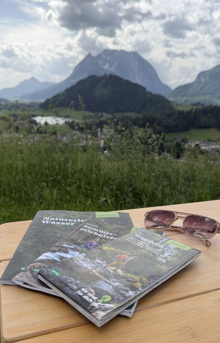 La regione di Schladming-Dachstein ha molto da offrire