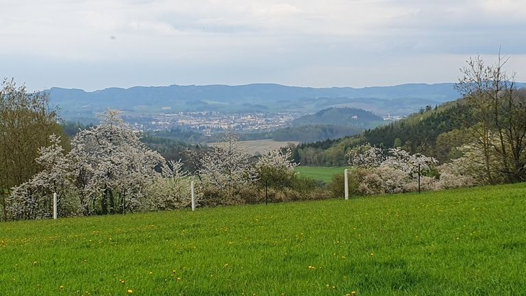 Ausblick