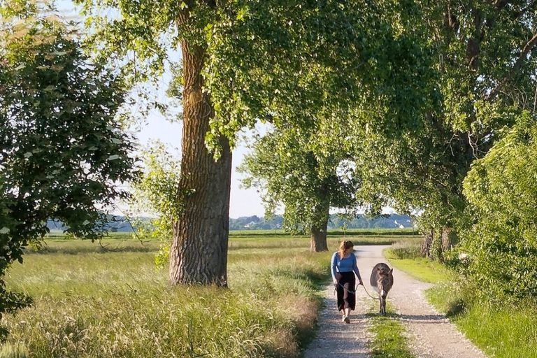 Grande escursione con gli asini