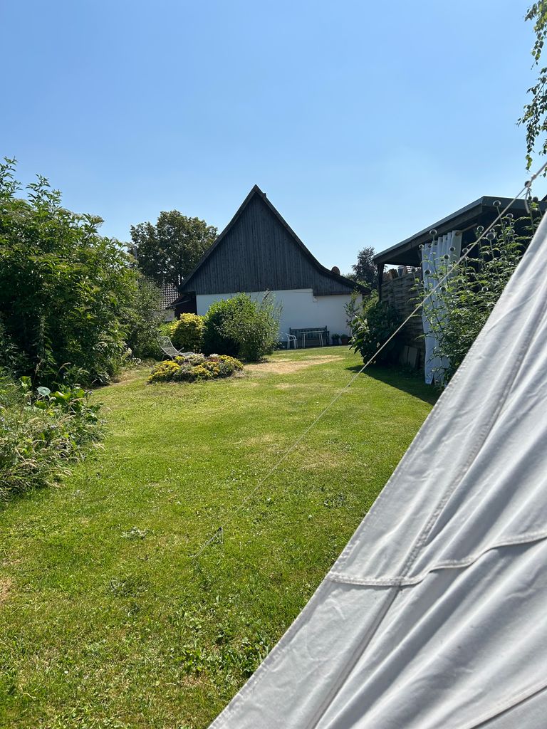 View from the tent