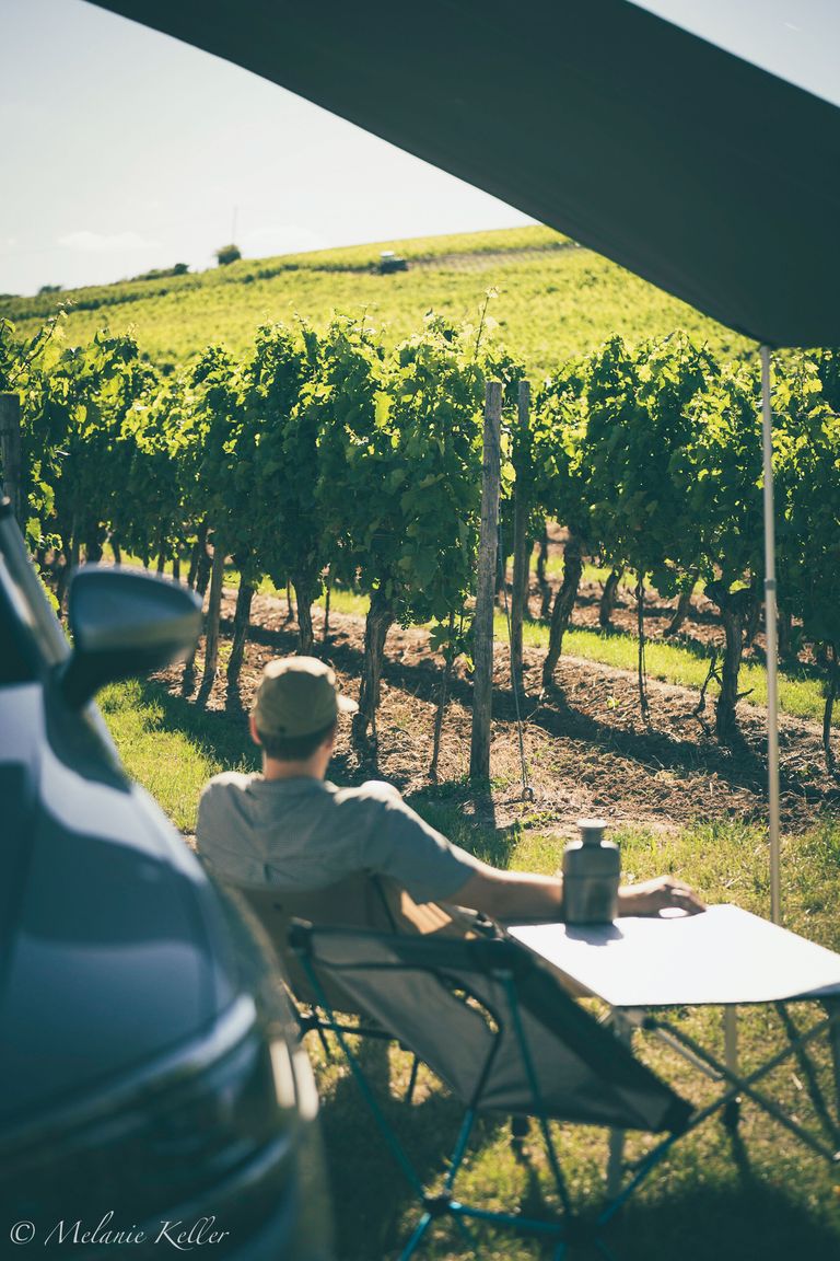 Ein Ein Mann sitzt in einem Campingstuhl direkt an den Weinreben vor seinem Camper.