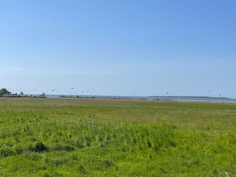 Wiese eines Campingplatzes mit Blick auf die Ostsee