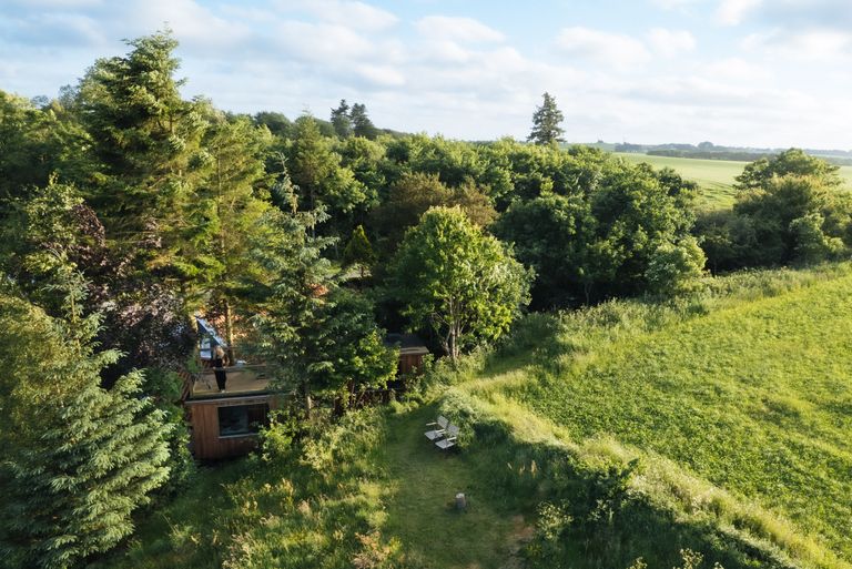 Drohnen-Aufnahme von einer kleinen Hütte im Wald, die man per hinterland.camp buchen kann.